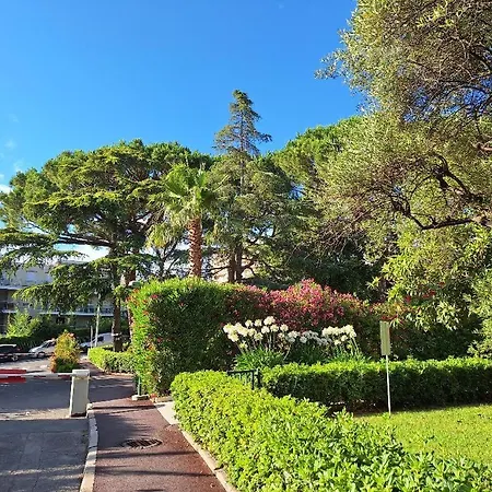 Les Pins Charming